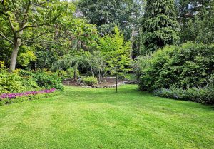 Optimiser l'expérience du jardin à Barriac-les-Bosquets